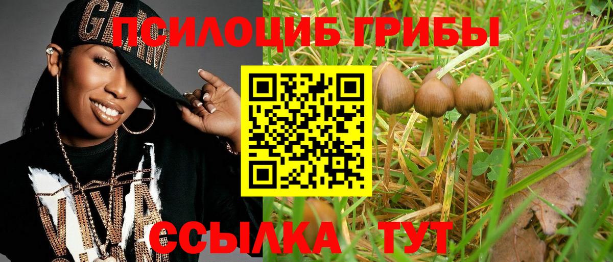 Псилоцибиновые грибы мухоморы Уфа